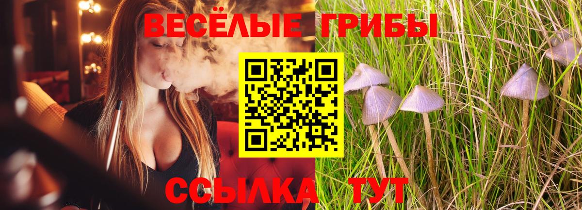 Галлюциногенные грибы Magic Shrooms Новошахтинск