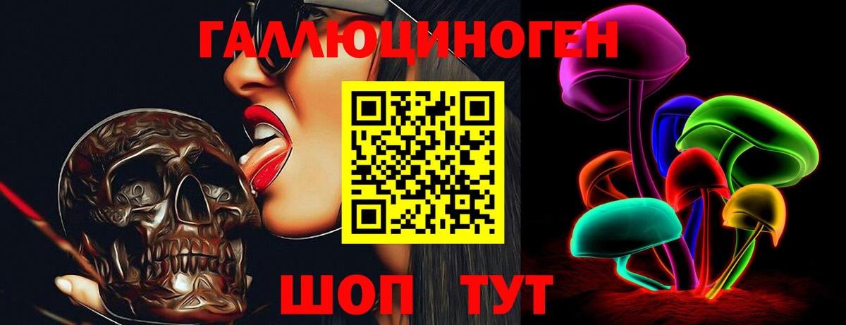 Новошахтинск  Галлюциногенные грибы ЛСД  Вход с VPN 